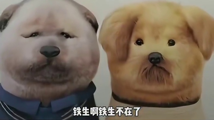 友谊要怎么写才最刀