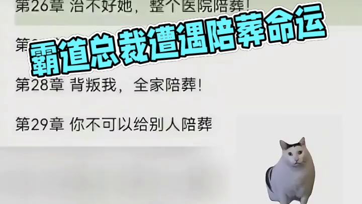这不是霸道总裁和他的殡仪馆公司嘛（不是