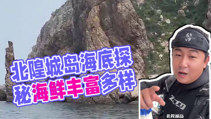 山东海水最清澈的地方在哪？ 来看看北隍城岛的海底世界！这里只有中国人才能去，在山东的最北端 #潜行中