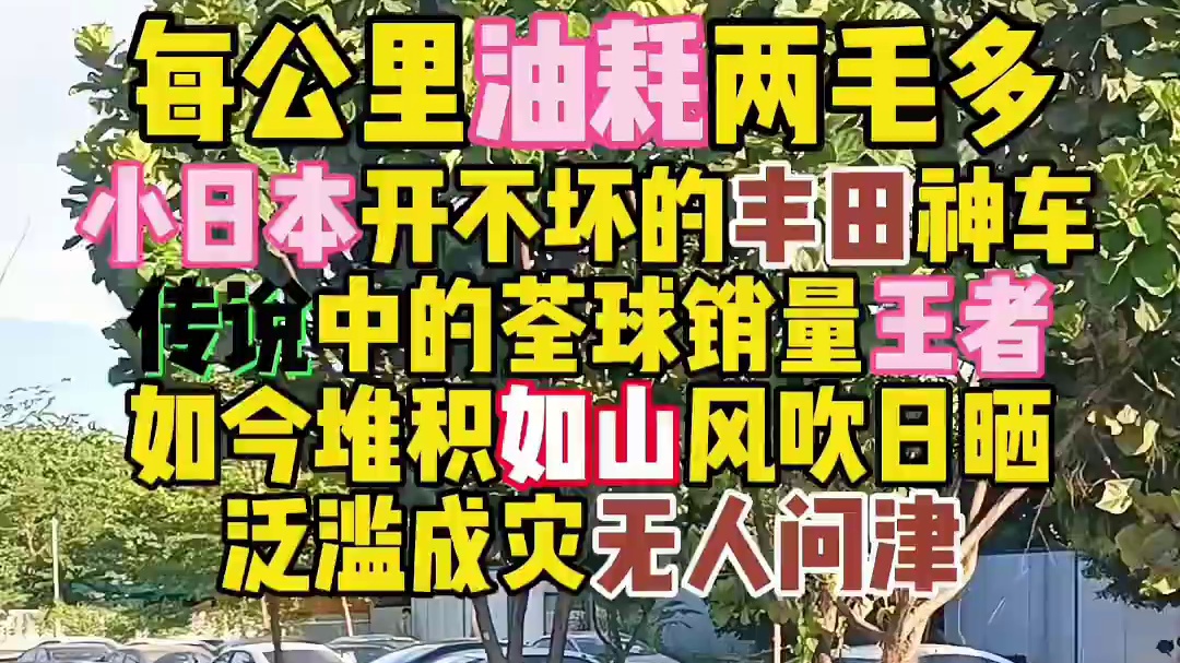 每公里油耗两毛多小日本开不坏的丰田神车传说中的荃球销量王者如今堆积如山风吹日晒无人问津#广州二手车