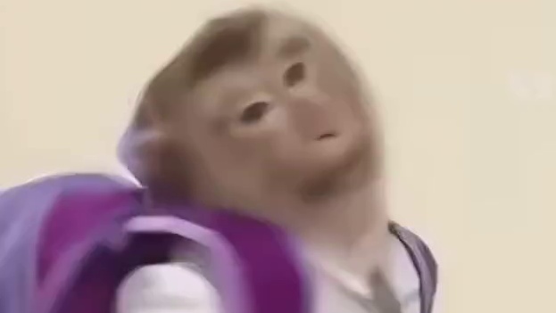 老板：你俩今天一定要念完吗