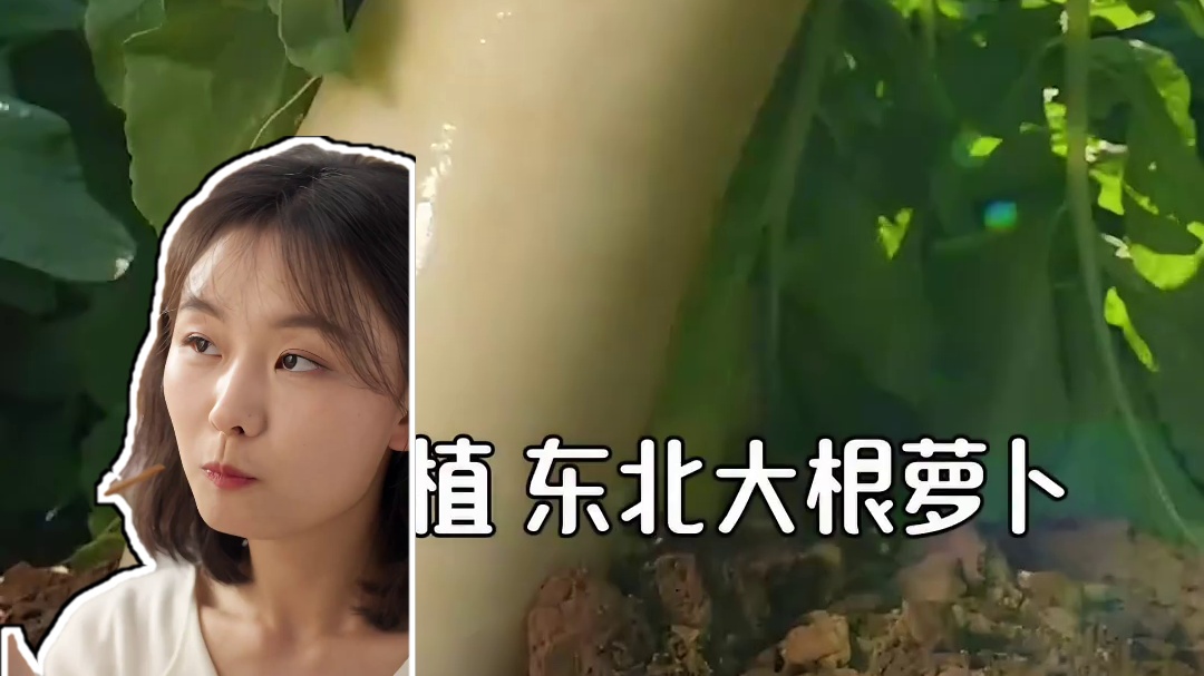 乌江麻辣萝卜干，三重锁鲜双倍爽脆，下饭C位非它莫属！