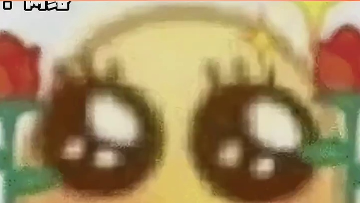 小猫对象门口乖乖等小猫