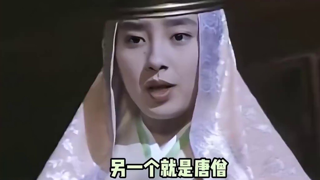 你记着我能看正史能看野史，但真不想看狗屎