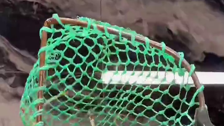 海鲜一站式餐厅，俄罗斯螃蟹好生猛