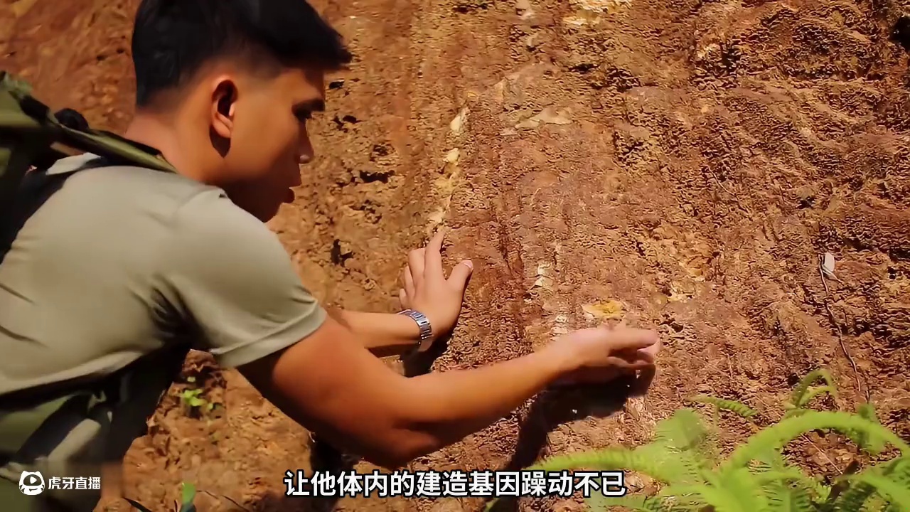 第1集：男人竟然在崖壁上建造了这么先进的庇护所