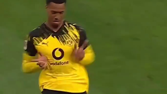 社会没有参天树