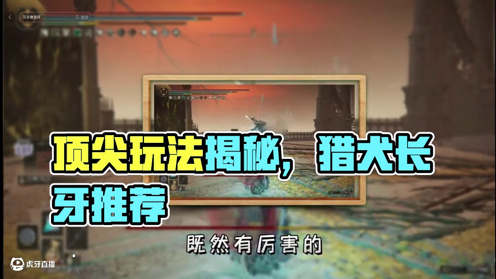 艾尔登法环全流派【T0梯队】顶尖玩法盘点 #游戏攻略#游戏杂谈#艾尔登法环神器#steam游戏#魂类