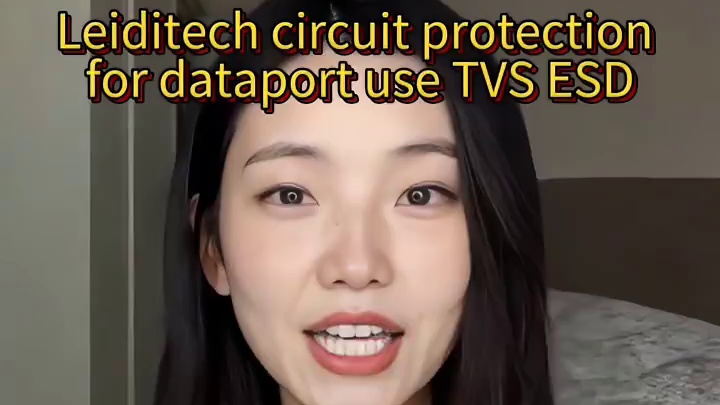 leiditech circuit protection for dataport use TVS