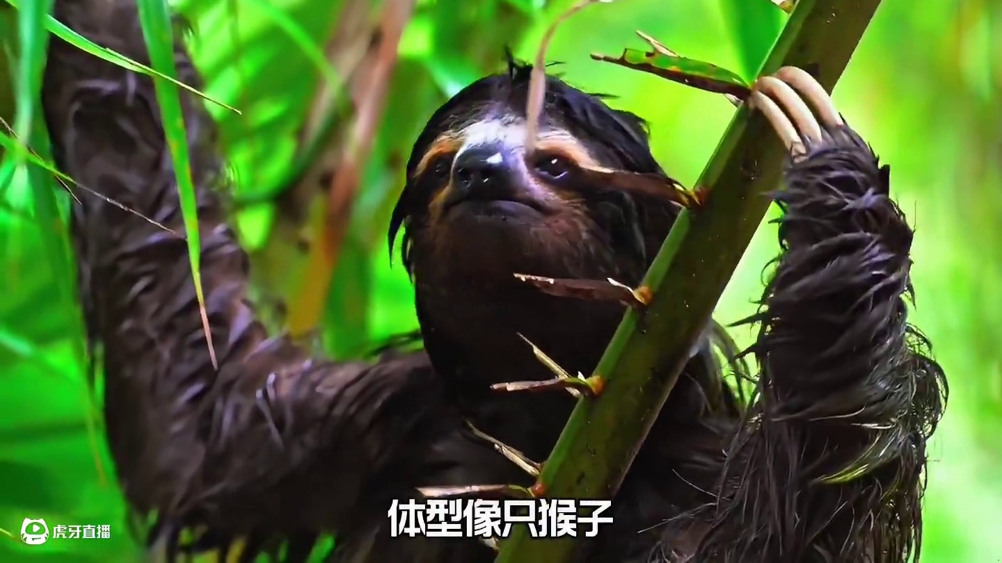 那些山海经中真实存在的恐怖生物，看完绝对让你背后发凉