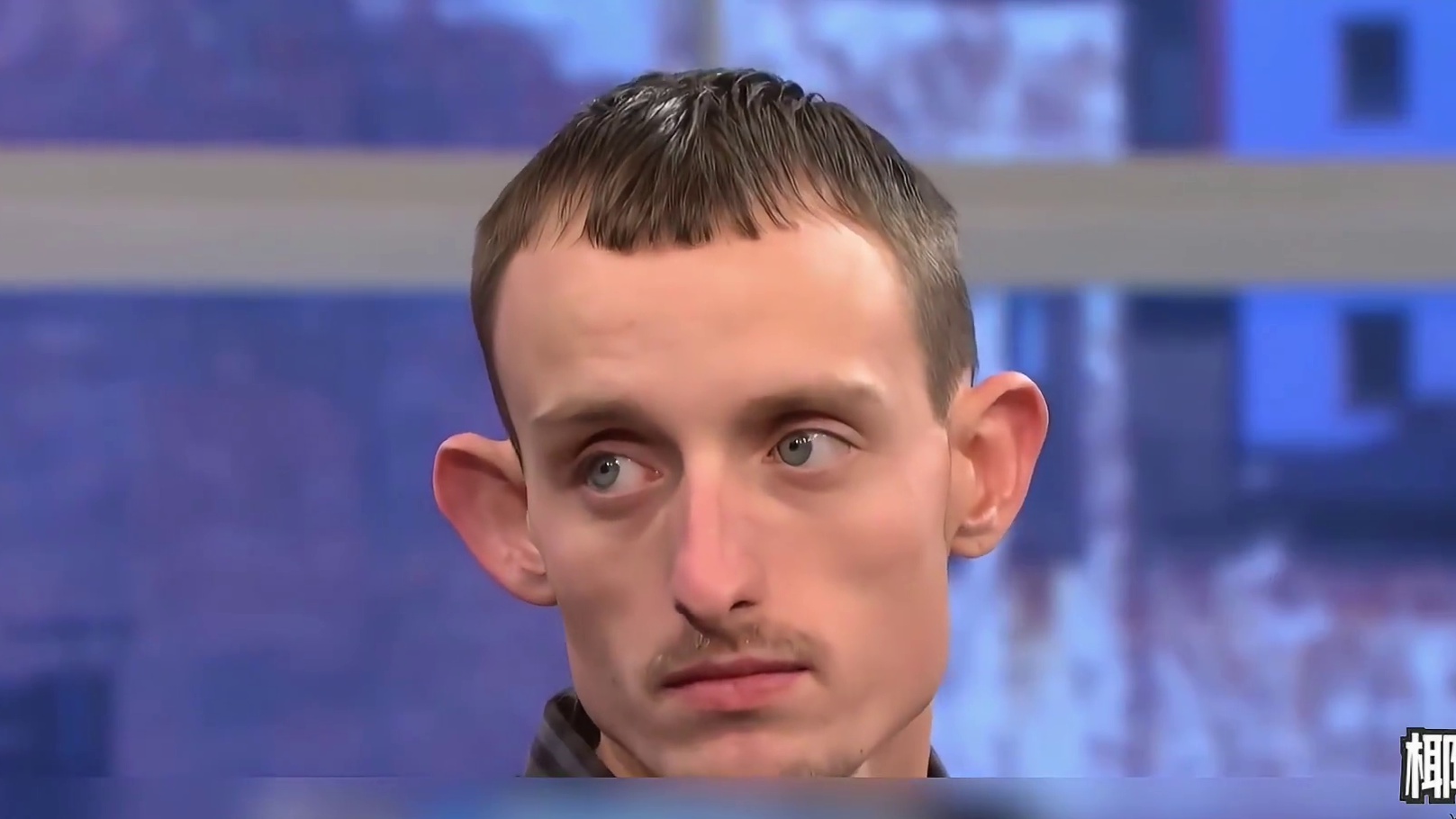 （修改版）爸爸死哪儿去了国外综艺：我才进去几个月，你就给我整出了个娃？#综艺#搞笑 #段子