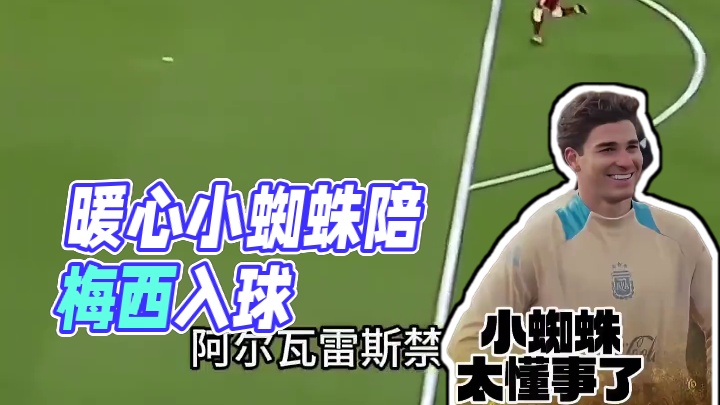 太懂事的小蜘蛛看着特别的暖心呀