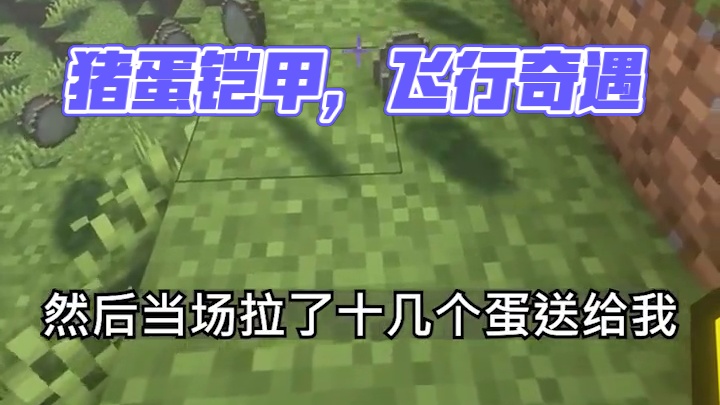 梦到什么说什么...其实这个梦还有很多细节，想不起来了... #我的世界 #整活 #梦境