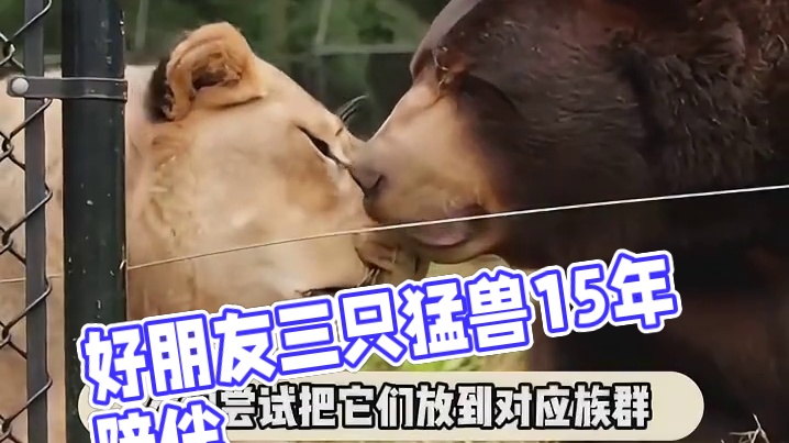 在别的时空也一定要做好朋友啊