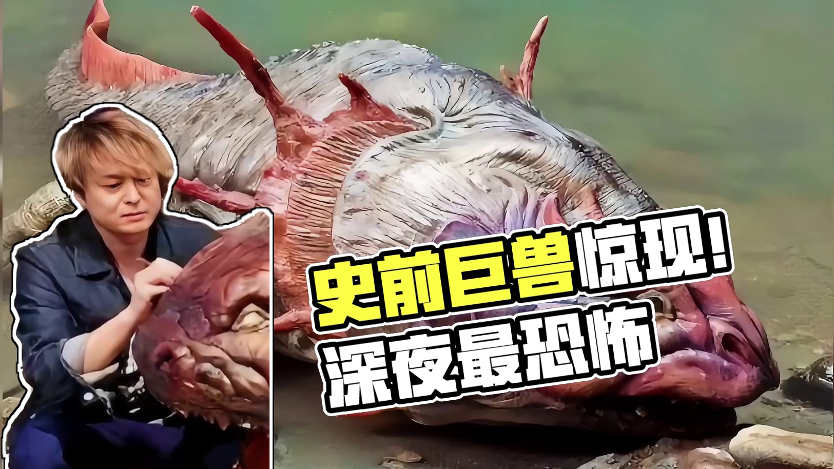 那些比你想象中还要恐怖的史前巨兽，千万别在深夜刷到