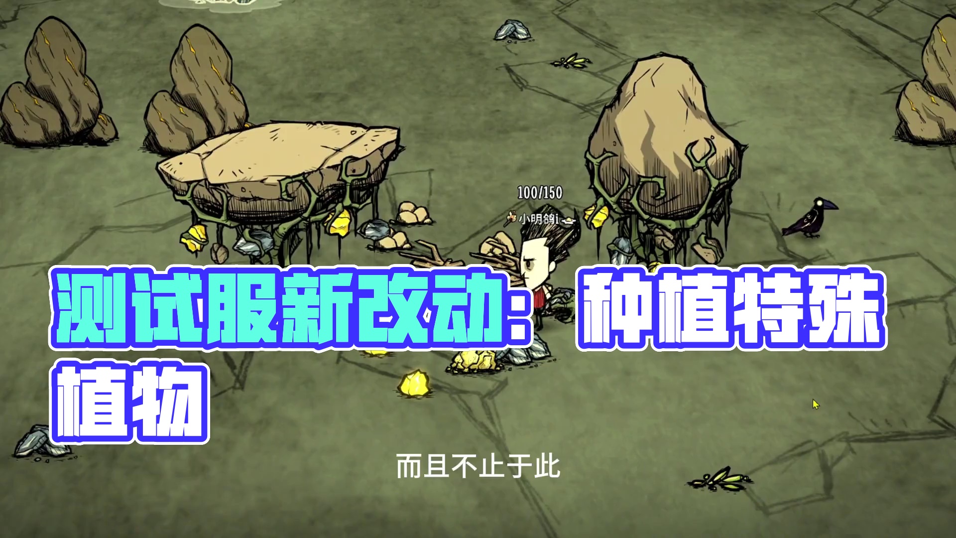 树上长金块 测试服新改动 饥荒测试版 饥荒联机版 #饥荒联机版 #饥荒