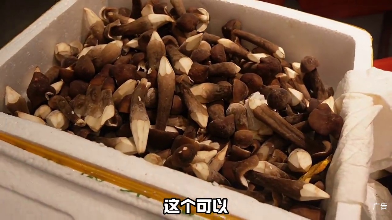 九米菌子火锅 25抵50，超新鲜的云南菌子，没想到在九米就能吃到#菌子的季节 #宁波美食 #菌子火锅