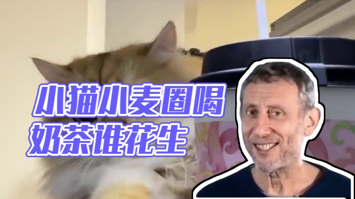 小猫：谁为我花生！！！#搞笑 #语音厅