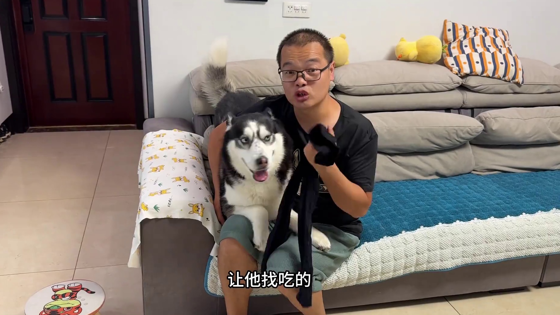 二哈蒙眼挑战笑死人不偿命，傻狗主打一个不按套路出牌，太逗了 #二哈 #哈士奇 #萌宠出道计划 #神奇