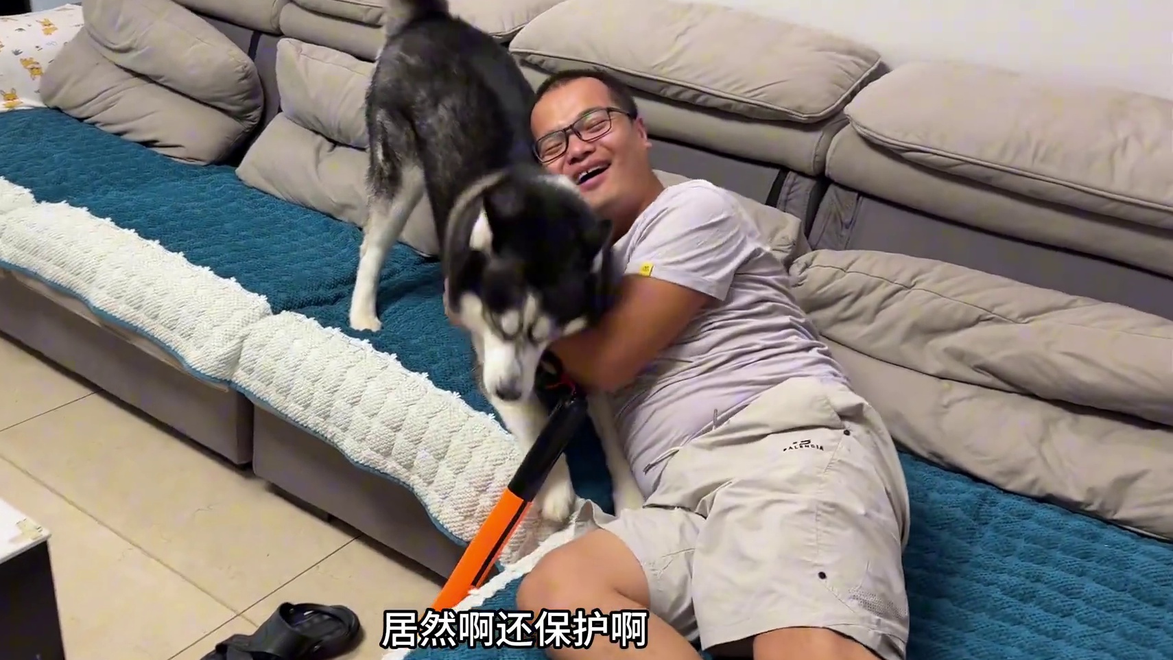 二哈看到主人被别人揍会是啥反应？大家看完千万别笑，哭笑不得啊 #宠物出道计划 #二哈 #哈士奇 #神