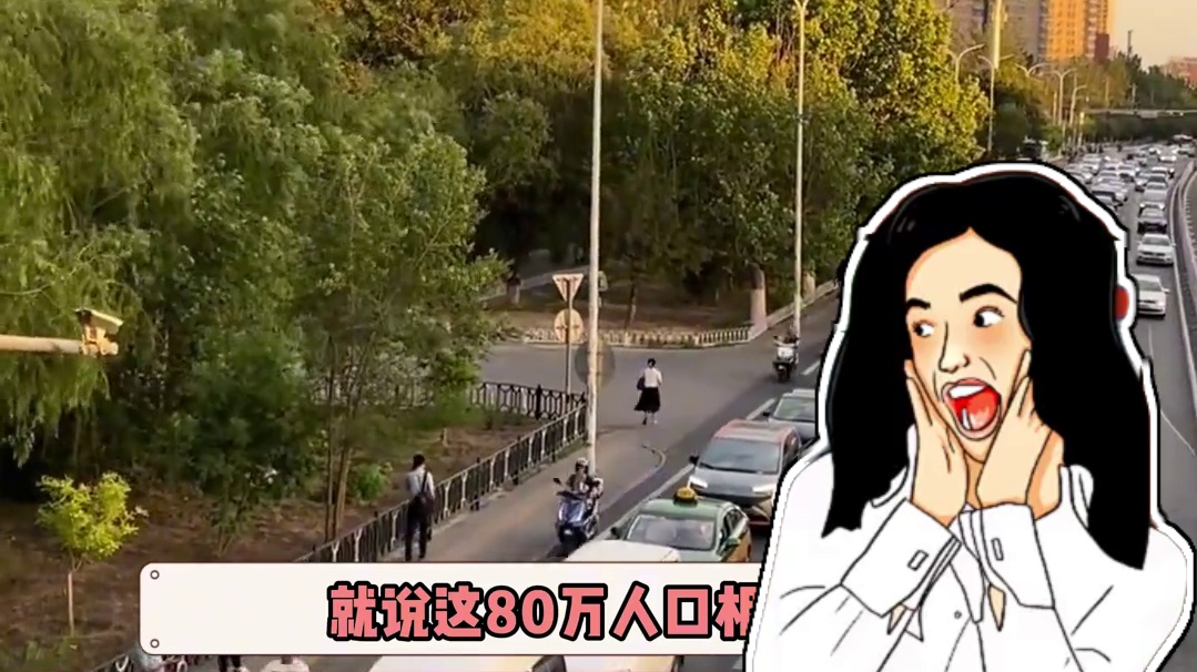 全球最大的小区足足有700多栋楼