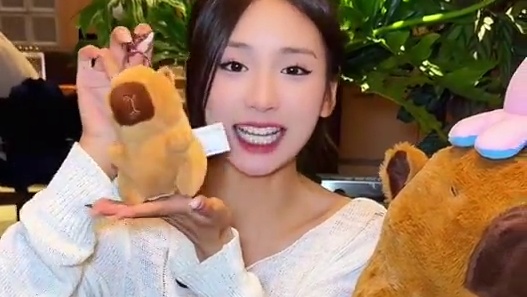 泰熙家这次联名太给力了！#泰熙家  #卡皮巴拉  #豚个石锅 #甜甜三分甜 
•赠品名称：橘子水豚君