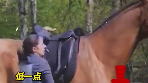 马儿：不理解，但照做！！  #万万没想到