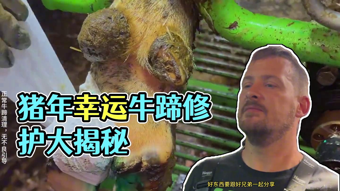 冲洗来的猝不及防，让正在蹲坑的你要分舒爽 #解压 #助眠 #修牛蹄 #强迫症 #极度舒适