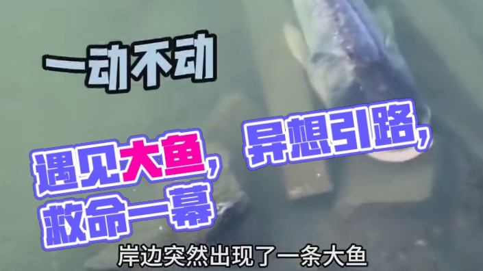 坏了遇到引路人了