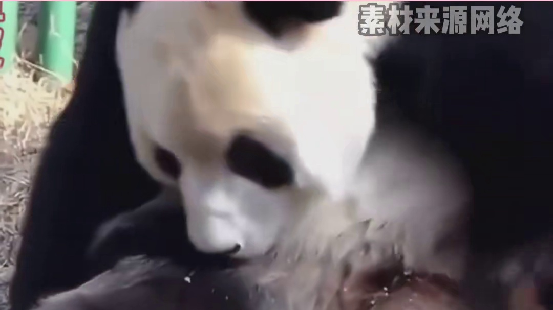 飞云：我可是很温柔的呢