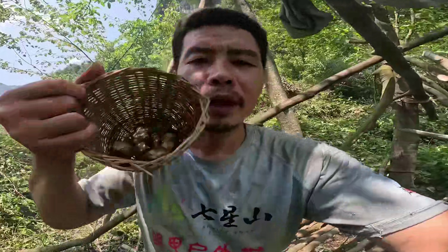 张家界七星山杯荒野求生挑战赛，决赛第三十九天，大力蛋白质断了。#七星山杯荒野求生挑战赛#户外#荒野求