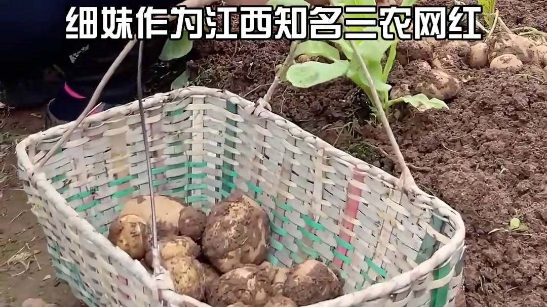 明明骨髓移植成功，为何“农村细妹”突发脑溢血离世？专家一句话揭开真相，才知最大元凶 #农村细妹  #