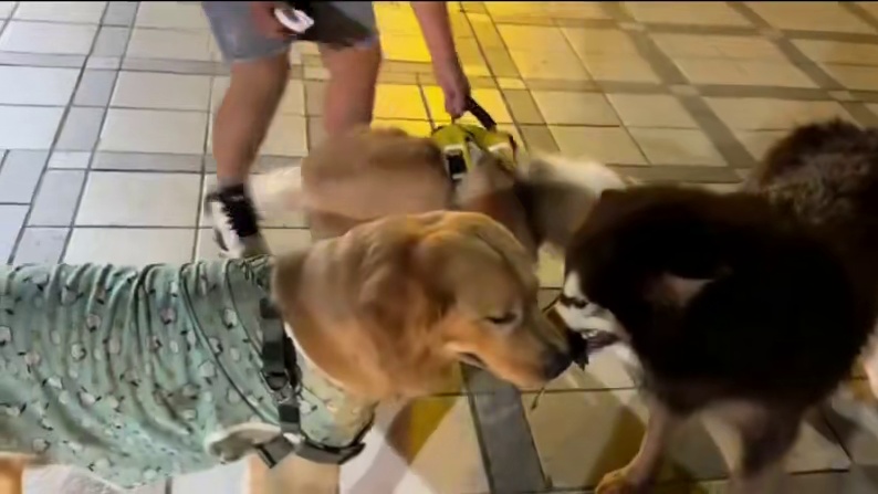 顾头不顾腚#搞笑 #看一遍笑一遍 #万万想不到