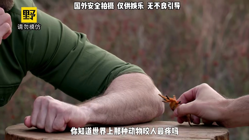盘点《疼痛之王》中战力前三的凶猛生物，大蟒蛇竟然不是第一！ #整活 #老外真会玩