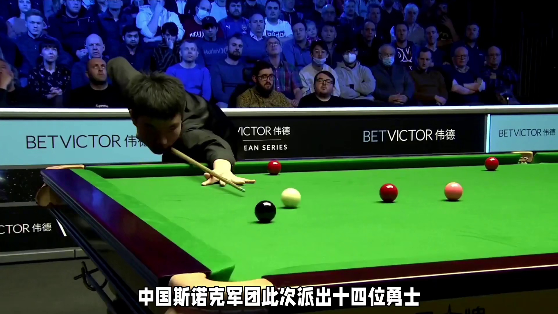 明日斯诺克开赛！14名中国选手出战，含两场内战！#台球 #热门 #斯诺克