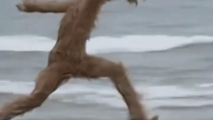 隔着屏幕都感觉被臭到了