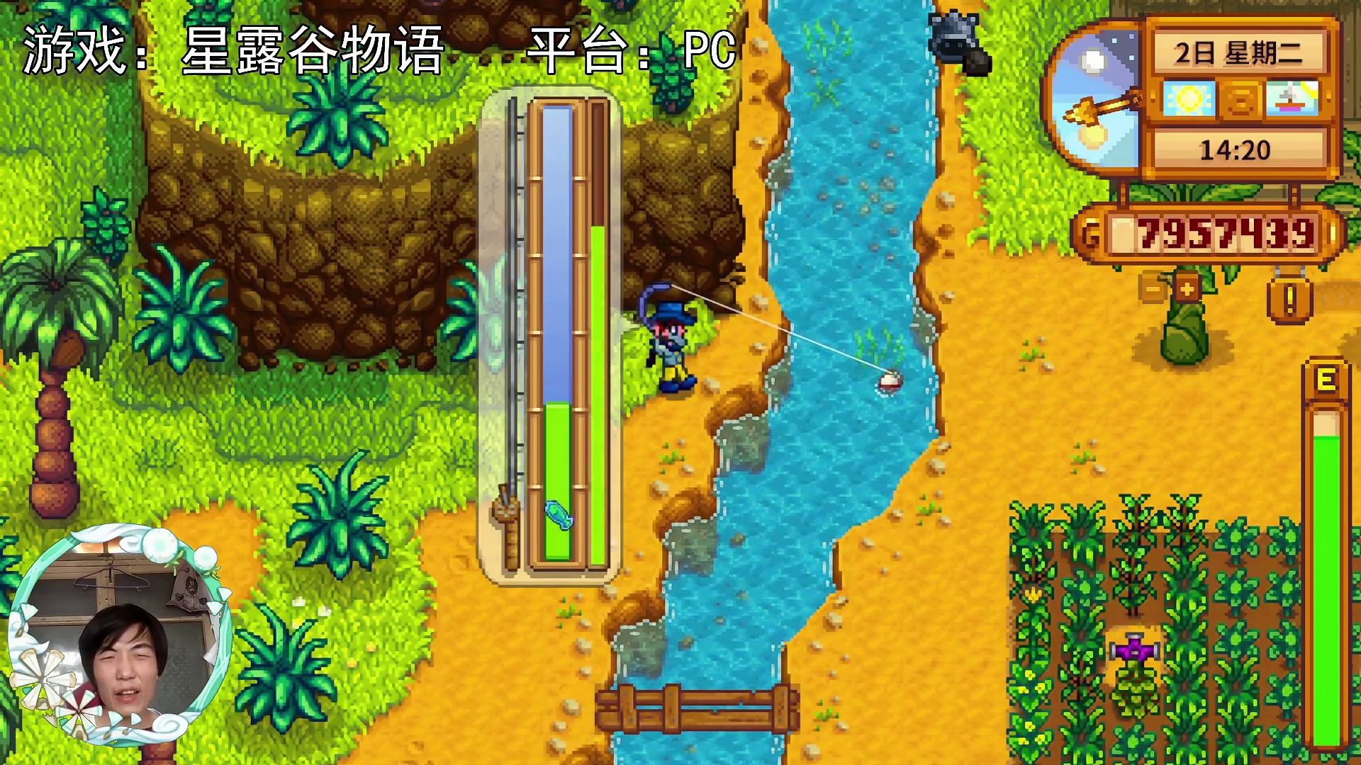 【星露谷物语】蓝铁饼鱼，姜岛常驻！