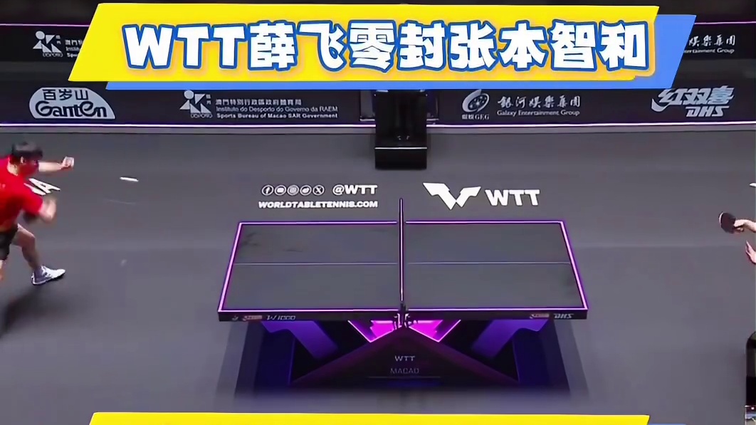 WTT澳门冠军赛薛飞零封张本智和决胜球欣赏！ WTT澳门冠军赛薛飞零封张本智和决胜球欣赏！连续横拉又