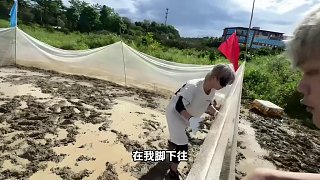 德華神雞山莊抓雞抓鴨，柱子盲龍成為華創(chuàng)真男人 #呂德華 #柱子