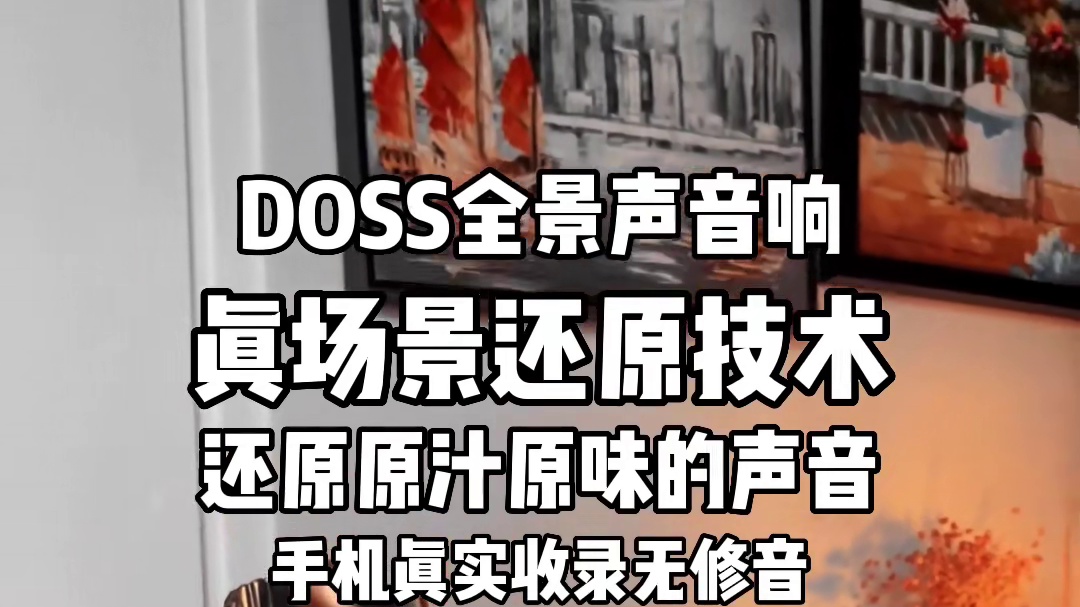 DOSS磨砖全景声音箱