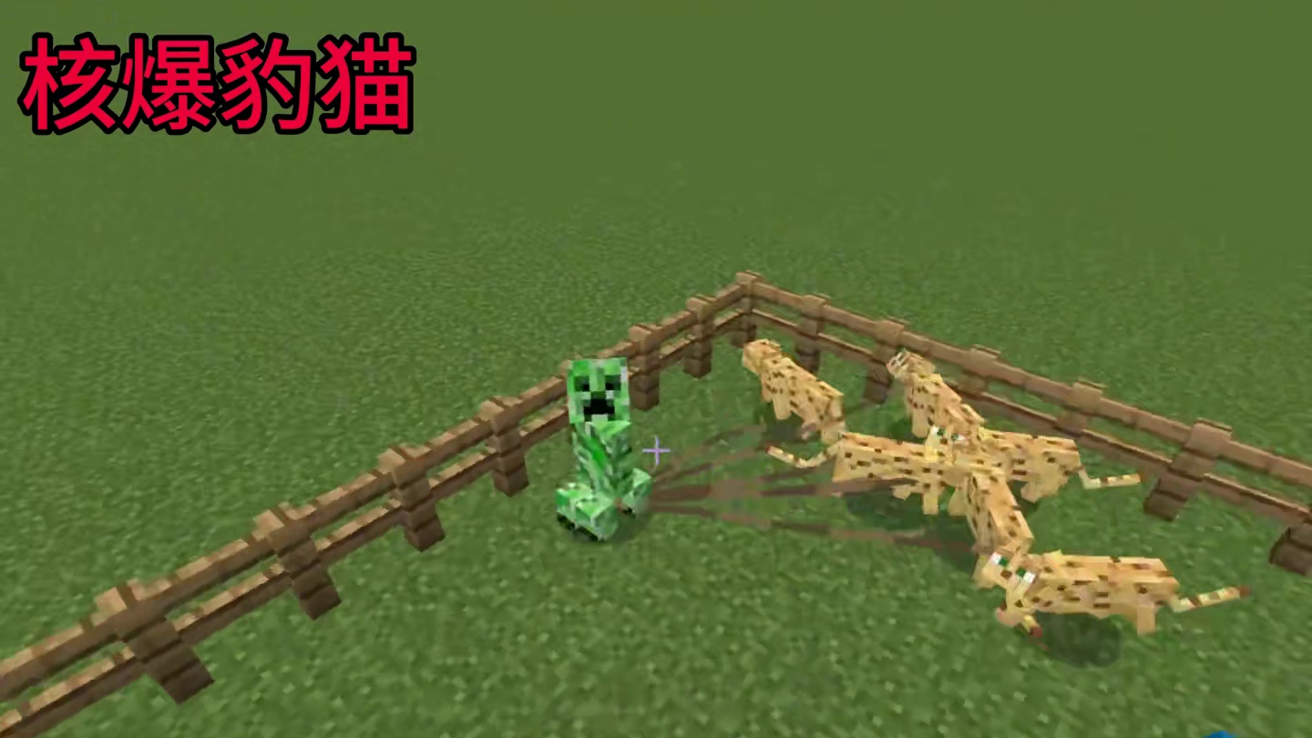 我的世界：这才是豹猫的正确使用教程！
#我的世界 #mc不灭 #mc