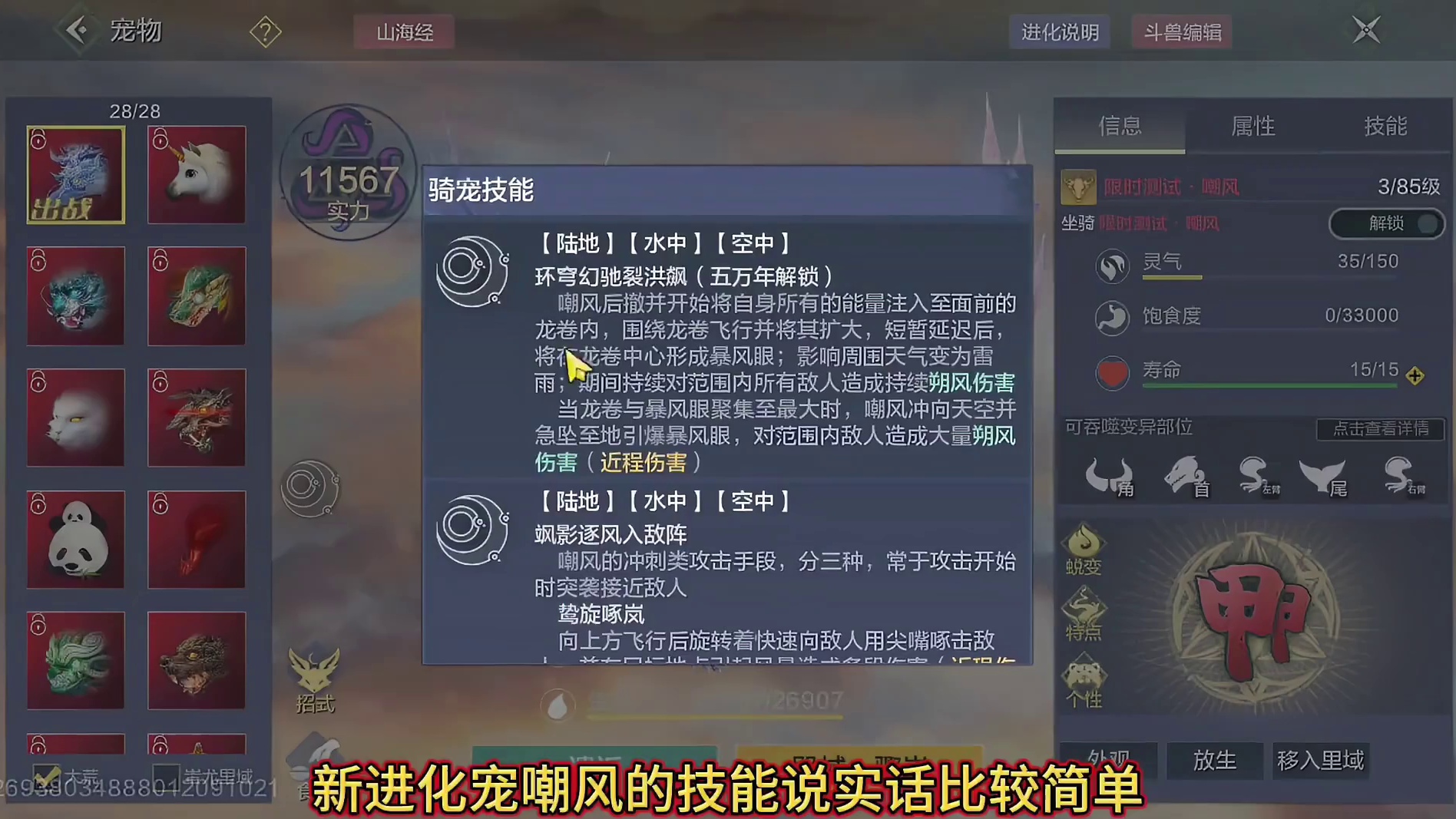 足足10个技能的新进化宠-嘲风 在打俩魂技=12个？ 