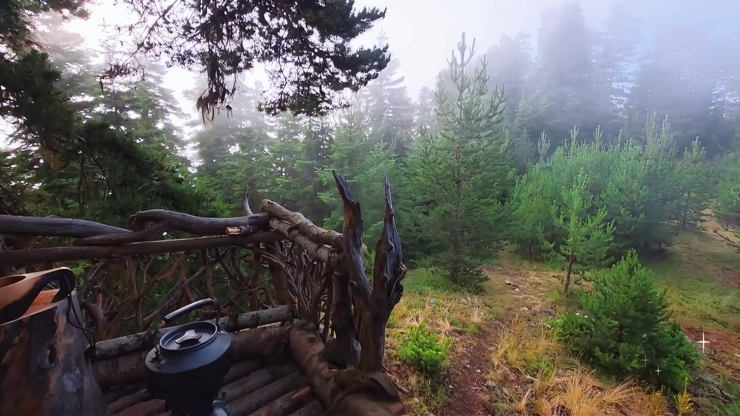 男人只是多看了一眼这颗古树，就将其改造成合适居住的家！ #野外建造 #解压助眠 #荒野建造