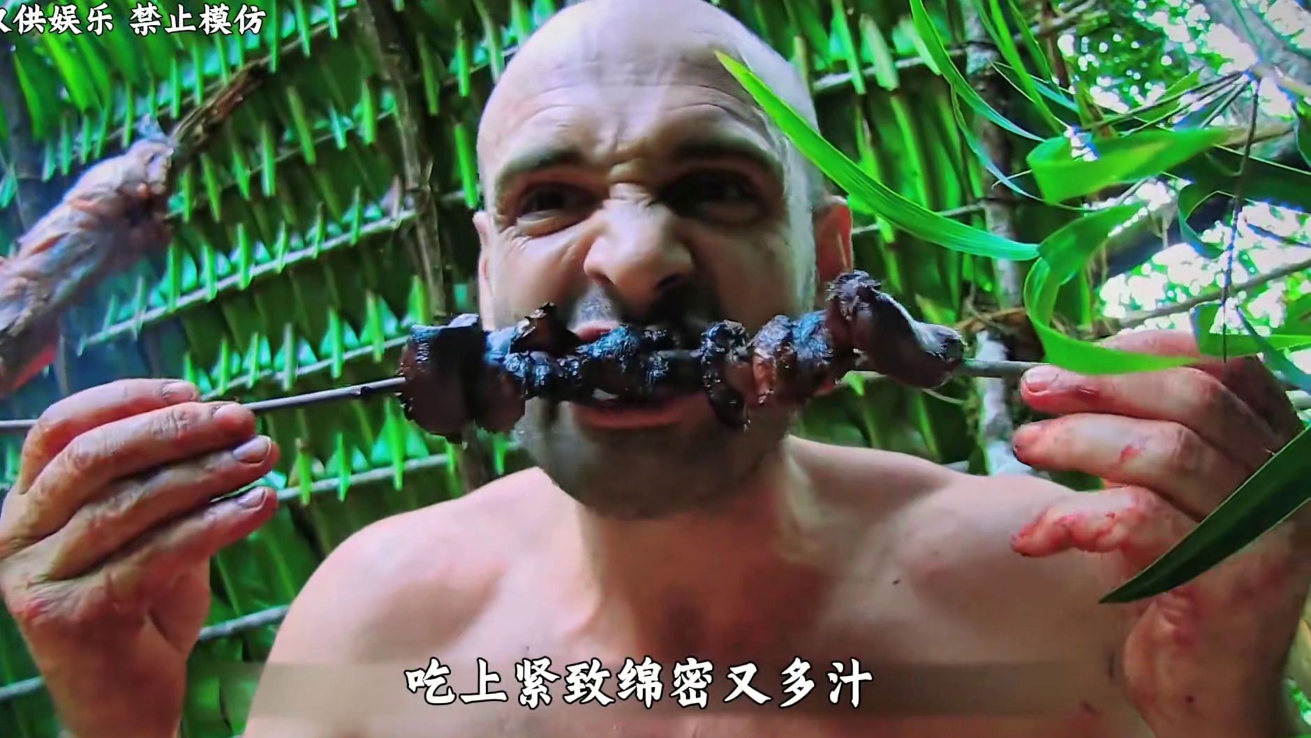 德爷来到委内瑞拉，落地吃黑蜂蜜蹄鼠肉串，最后贡献烤蛆名场面 #单挑荒野 #荒野求生 #德爷 #野外生