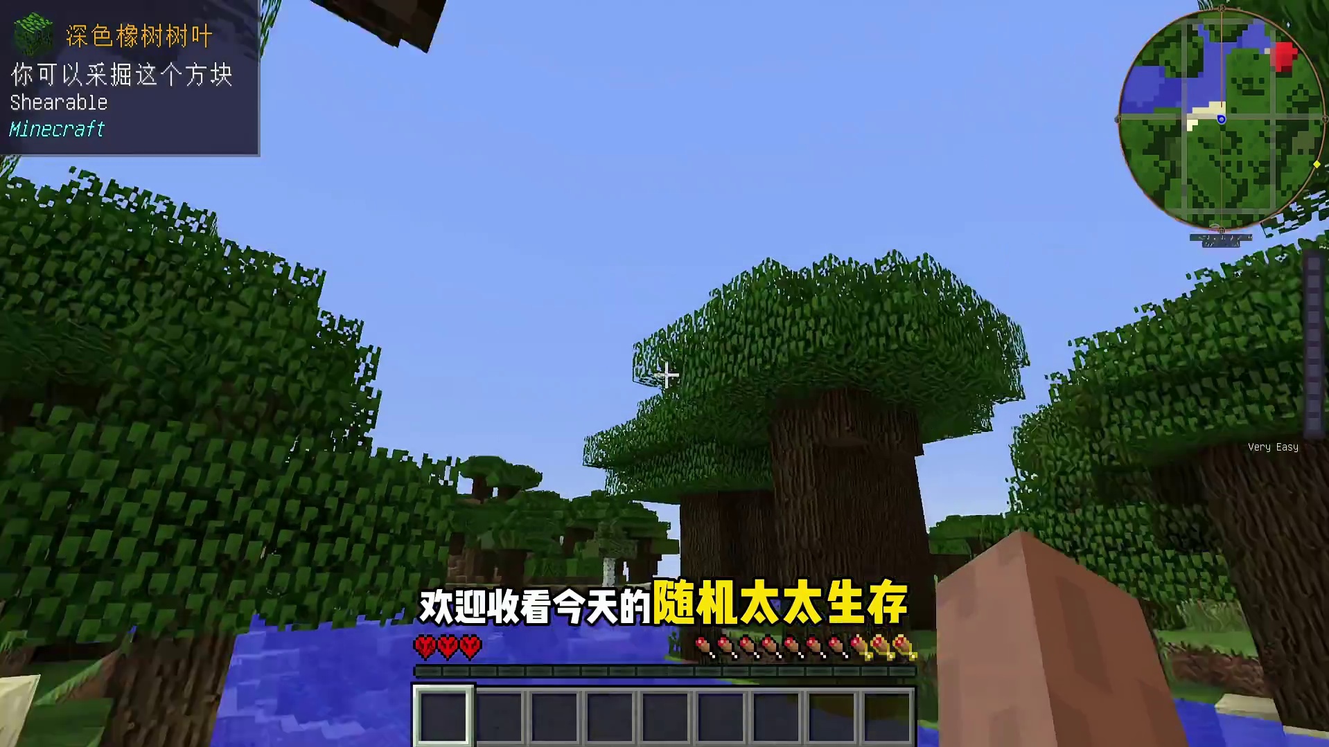 每日随机生存1欧皇出事 #青年创作者成长计划  #叶枫的日常 #我的世界 #随机合成