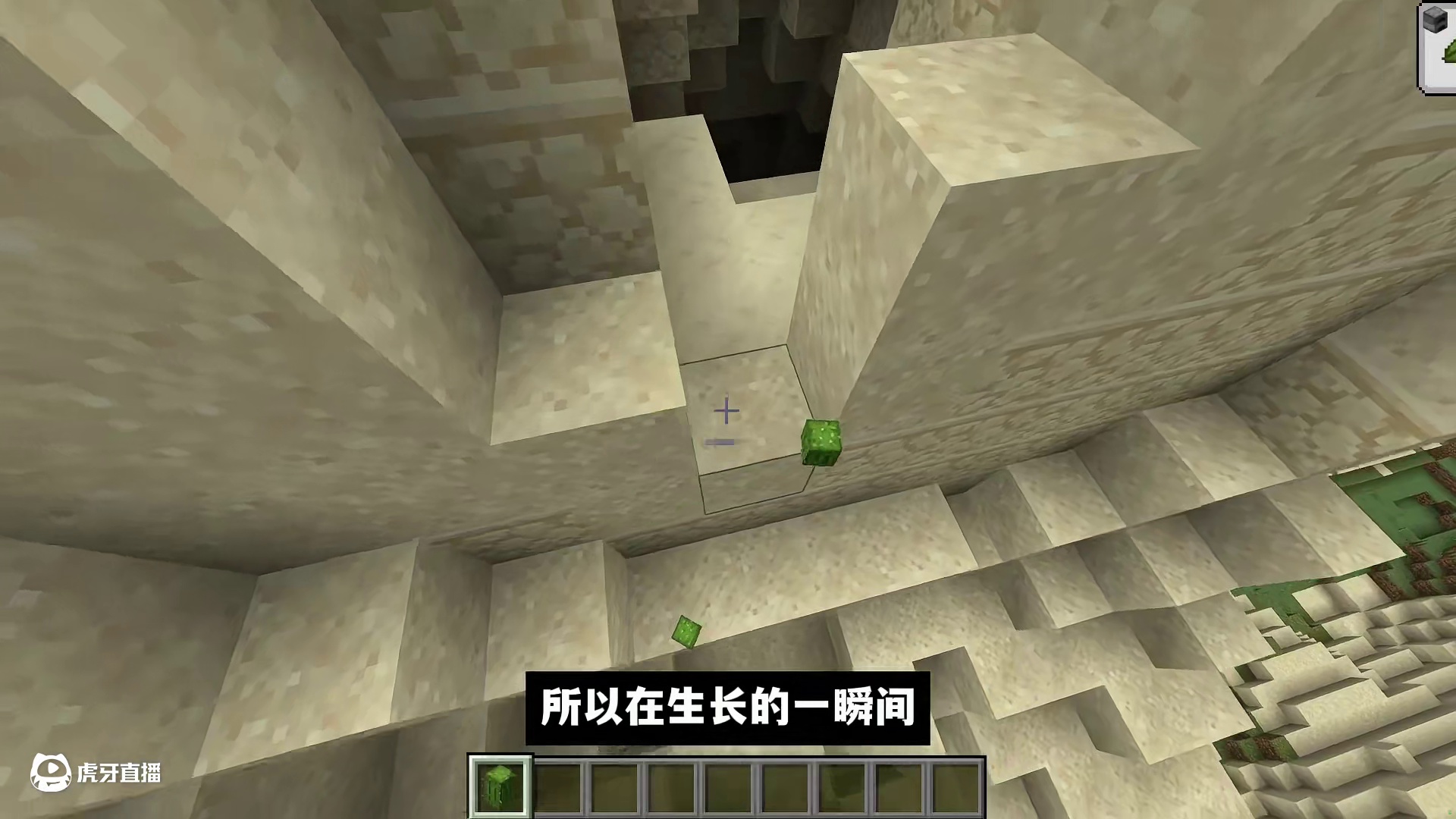 我的世界：仙人掌竟然也会自杀！？四个绝对让你意想不到的种子！ #我的世界 #Minecraft #游