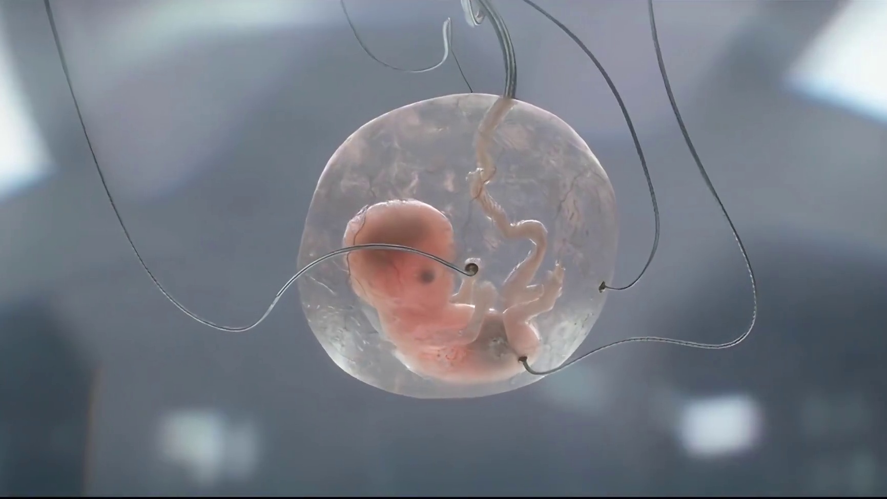 机器人把养育全人类的计划交给了女孩儿，毕竟人类的情感是机器做不到的 第1集