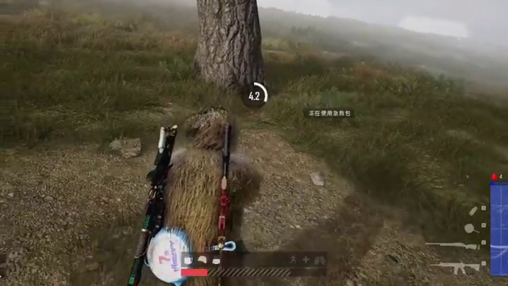 杨齐家：解说这方面，我是专业的