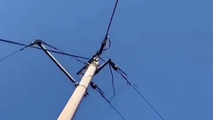 美女放炮炸小盆，看着都好玩