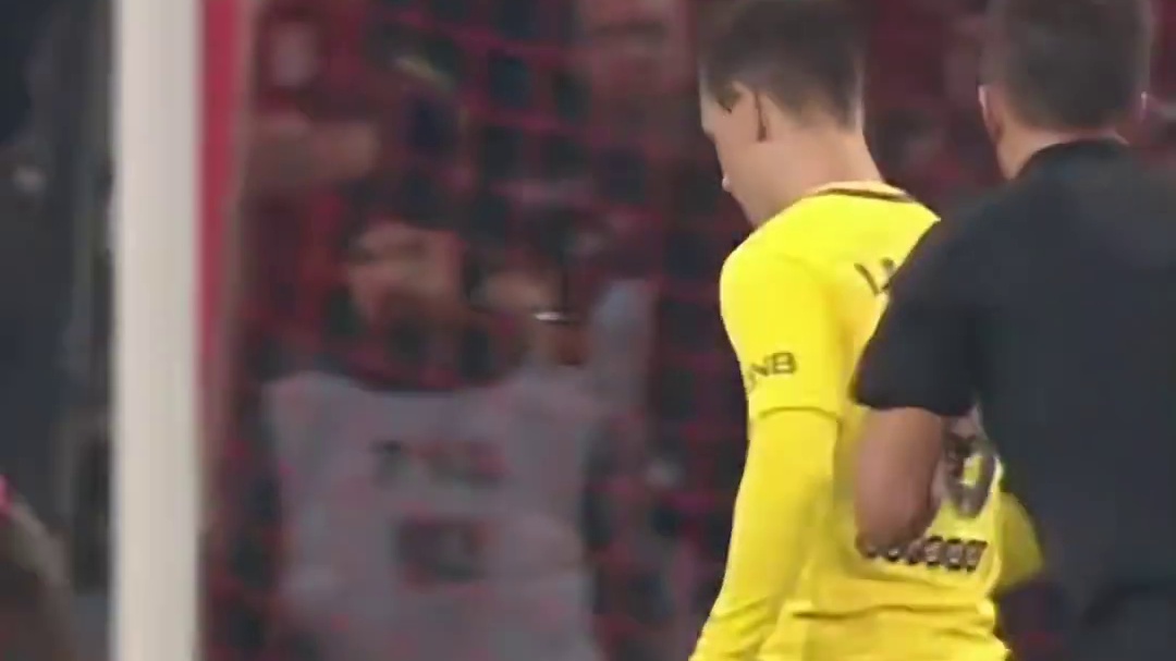 在传内马尔和传卡瓦尼之间选择了单干